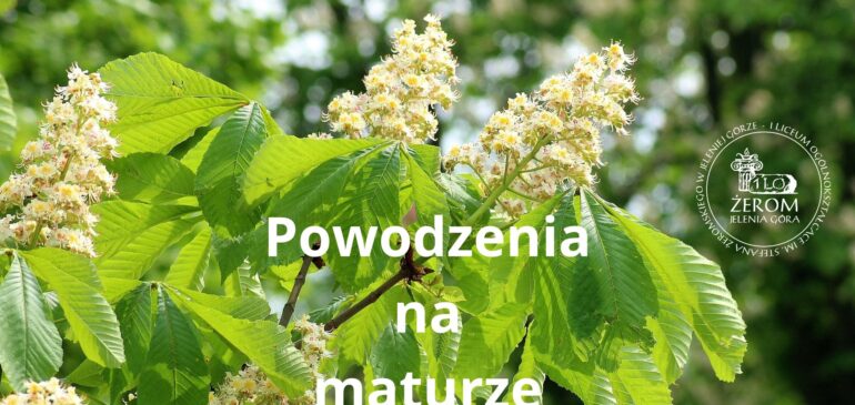 Powodzenia na maturze